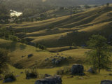 Green Foothills in Spring with South Fork of the American River near Coloma  California
