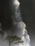 Yosemite Falls  California