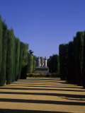 The Gardens of the Alcazar of Catholic Kings in Cordoba  Cordoba  Spain