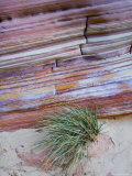 The Striations and Banding of a Rock Showing Different Rock Types  Capitol Reef National Park  Utah