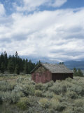 A Deserted Shack Stands in a Field in Colorado
