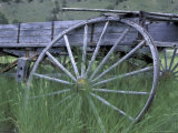Wrecked Wooden Wagon  Montana  USA