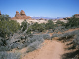 A Hiking Trail Through Canyonlands National Park