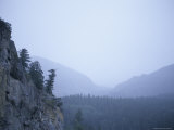 A Foggy Rainy Day in the Rocky Mountains of Colorado  Aspen  Colorado
