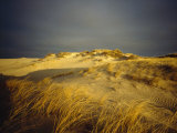 Sand Dunes and Beach Grass  Nauset Beach  Cape Cod National Seashore  Massachusetts
