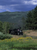 A Steam Engine Chugs Through a Valley Near a Field of Wildflowers  Silverton  Colorado