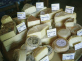 Cheeses Offered for Sale at a Cheese Factory