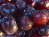Ripe Huckleberries  Montana  USA