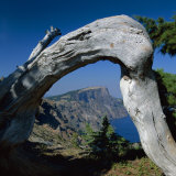 Crater Lake National Park  Oregon  USA