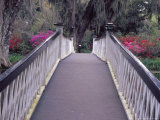 Long White Bridge over Pond  Magnolia Plantation and Gardens  Charleston  South Carolina  USA