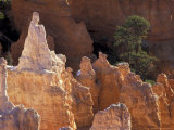 Queen Victoria Hoodoo at the Queens Garden  Bryce Canyon National Park  Utah  USA