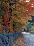 Fall Colors in the White Mountains  New Hampshire  USA