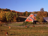 Autumn View of Farm in Late Afternoon Light  Vermont  USA