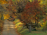 Fall Colors  View Of Country Land  Loudoun County  Virginia  USA