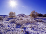 Fresh Snowfall in the Badlands of Theodore Roosevelt National Park  North Dakota  USA