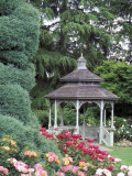 Gazebo and Roses in Bloom at the Woodland Park Zoo Rose Garden  Washington  USA