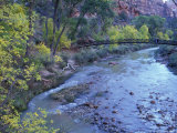 Virgin River and Couple on the Footbridge  Zion National Park  Utah  USA