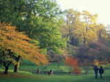 Fall Colors of University of Washington Arboretum  Seattle  Washington  USA