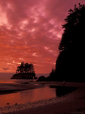 Pacific Ocean and Sunset  Olympic National Park  Washington  USA