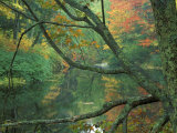 Fall on the Lamprey River below Wiswall Dam  New Hampshire  USA