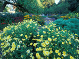 Prescott Park Garden  New Hampshire  USA