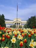 Spring Flowers and John Park Building  University of Utah  Salt Lake City  Utah  USA