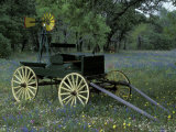 Old Wagon and Wildflowers  Devine  Texas  USA