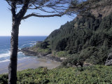 View from Interpretive Center  Cape Cove  Cape Perpetua Scenic Area  Oregon  USA