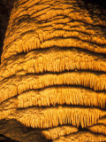 Frozen Niagra Column  Carlsbad Caverns National Park  New Mexico  USA