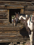 Ranch Living at The Ponderosa Ranch  Seneca  Oregon  USA