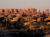 Dawn in the Needles District  Cedar Mesa Sandstone  Canyonlands National Park  Utah  USA