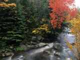 Moving Stream And Fall Colors  Groton  Vermont  USA