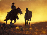 Cowboy and Horse at Sunset  Ponderosa Ranch  Seneca  Oregon  USA