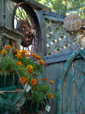 Ravenwood Curio Shoppe  Jackson  New Hampshire  USA