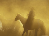 Horse Roundup  Ponderosa Ranch  Seneca  Oregon  USA