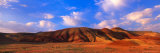 Spring Bloom in Painted Hills National Monument  Oregon  USA