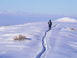 Backcountry Skier on Ridge of Wellsville Mountains  Wasatch-Cache National Forest  Utah  USA