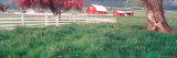Farm in Spring  Wallowa Valley  Oregon  USA