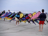 International Kite Festival at Long Beach  Washington  USA