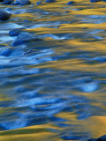 Fall Colors Reflect in the West River  Jamaica State Park  Vermont  USA
