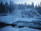 Beautiful Wilderness Covered in Ice and Snow