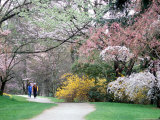 Couple Strolls a Flower-lined Path  Washington  USA