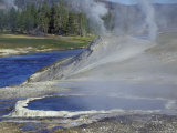 Geyser along Firehole River  Yellowstone National Park  Wyoming  USA