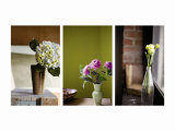 Spring's Stems Triptych
