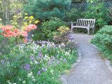 Parsons Gardens Park on Queen Anne Hill  Seattle  Washington  USA