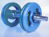 Green and Blue Plastic Dumbbells for Workout