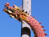 Chinese Dragon in Chinatown  Seattle  Washington  USA
