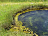 Geyser Pool  Yellowstone National Park  Wyoming  USA
