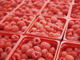 Red Raspberries Ready for Sale