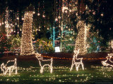 Christmas Light Display  Camano Island  Washington  USA
